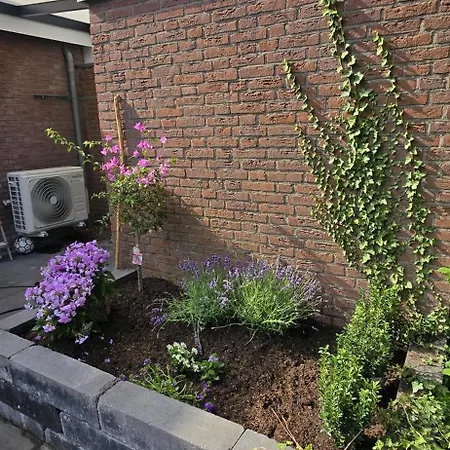 Het Lila *