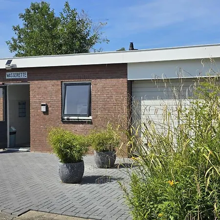 Het Lila